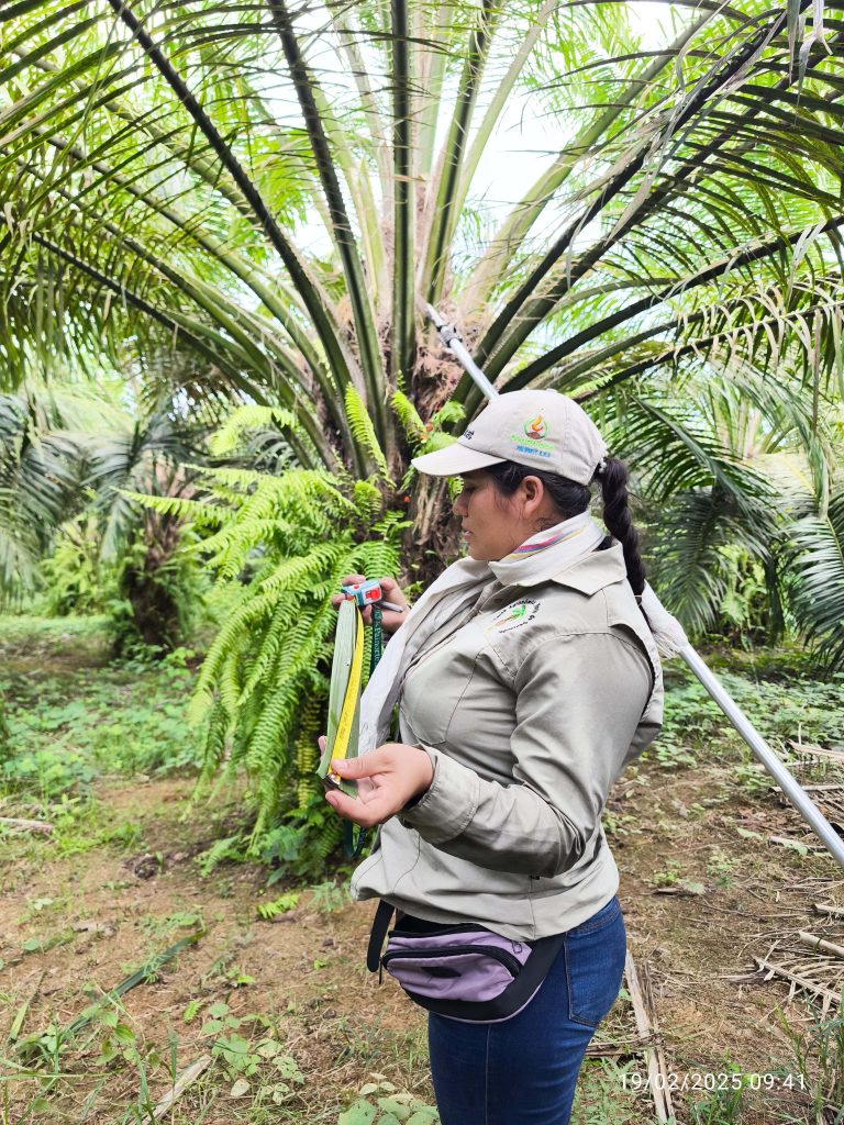 FERTILIZA ADECUADAMENTE TUS CULTIVOS